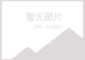 宁夏白山水泥有限公司